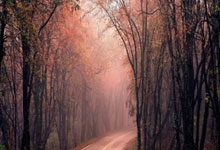 天涯八卦神贴：打开网络迷航者的快乐源泉，那些神贴总能让你哈哈大笑！