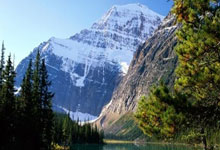 天涯娱乐圈十大神贴：娱乐圈十大神贴盘点，当年天涯论坛上的爆红帖全汇总！